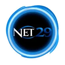 net29 APK MMORPG